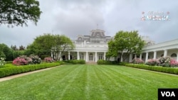 Ružičnjak u Bijeloj kući u Washingtonu, 10. maja 2024.