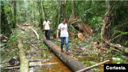 En la Amazonía viven 60 pueblos en condición de aislamiento, de acuerdo con datos del Banco de Desarrollo de América Latina y el Caribe (CAF). [Fotografía: Cortesía Iván Brehaut]