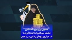 معاون وزیر نیرو: احساس تکلیف می‌کنیم؛ به فرزندآوری تا ۱۸ میلیون تومان پاداش می‌دهیم 