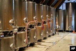 Winemaker and oenologist Felix Åhrberg walks past fermentation tanks at Kullabergs Vingård, in Nyhamnsläge, Sweden, July 25, 2023.