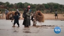 Some Members of Sudanese Security Forces Fleeing to Chad