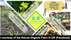 歐羅有機農場英國分部的宣傳海報。(圖片來源：歐羅有機農場英國分部臉書網站)