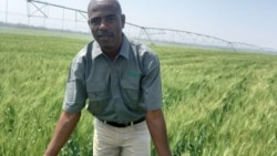 Udaba Esilwethulelwe NguTobais Mudzingwa