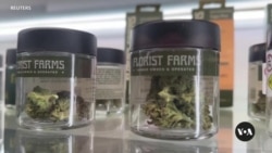 Trump, Biden both cautious, vague on marijuana positions