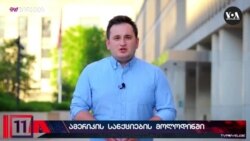 "ივანიშვილი არ არის საქართველოს პატრიოტი", - ნიქსი