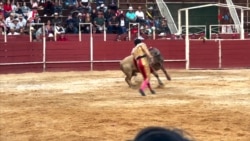 Colombia dividida por la prohibición de las corridas de toros
