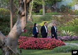 中國領導人習近平在廣州市的一個花園散步。 （2023年4月7日）