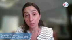 Alerta sanitaria por hongo resistente -Agustina Forastiero- experta OPS 