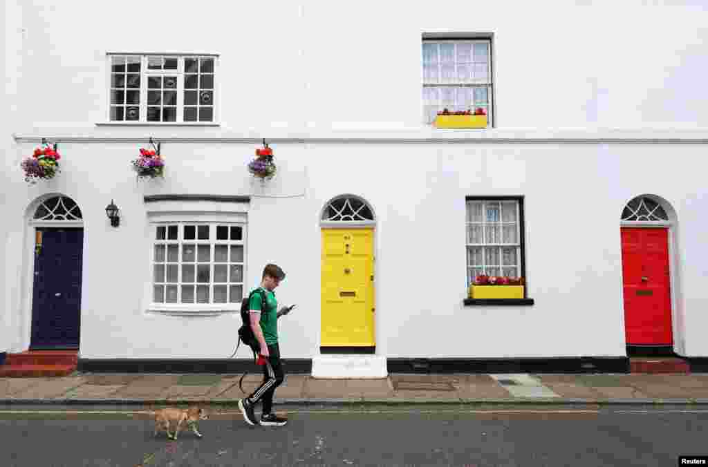 A man walks a dog past house doors painted blue, yellow and red, ahead of Britain's July 4 general election, in Isleworth, London.