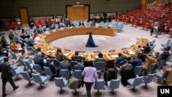 Arhiva: Vijeće sigurnosti UN
