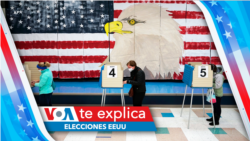 ¿Por qué solo hay dos grandes partidos en EEUU?