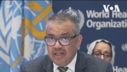 全球突發衛生事件成為世衛組織年會首要議程
