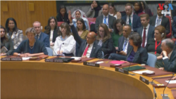 តើអង្គការសហប្រជាជាតិអាចដោះស្រាយបញ្ហាសង្គ្រាម ភាពអត់ឃ្លាន បញ្ហាអាកាសធាតុបានដែរឬទេ?