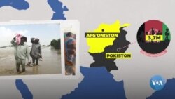 BMT: Dunyo bo'ylab qochqinlar soni 117 milliondan oshadi