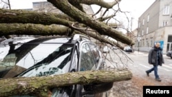 Ruwan Kankara da Iska Mai Karfi Ta Kayar Bishiyoyi a Montreal, Quebec, Canada April 6, 2023. 