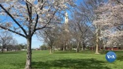 O'zbekistonlik oilalardagi jinoyatlar, AQSh (1) 