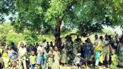 በረሃብ የሞቱ አሉ ወይስ የሉም? ቃኝዎችና መንግሥት