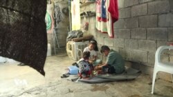 Rewşa Zarokên Penaberên Rojava li Herêma Kurdistanê Çi Ye?