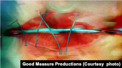 انیمیشن «شهاب سنگ»