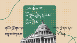 གཡོན་ཕྱོགས་པ་དང་གཡས་ཕྱོགས་པའི་ཆབ་སྲིད་ནང་དོན་ཇི་ལྟར་གྲུབ། 