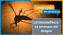 América Latina en alerta roja por el aumento récord de casos de dengue