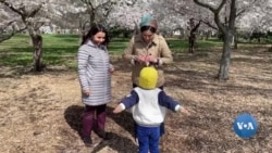 AQShdagi o'zbekistonliklar, so'nggi jinoyatlar (5)