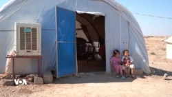 Rewşa Derbiderên Êzdî Yên ku Ji Kampan Vegeriyane Şingalê