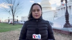 VOA Te Explica | ¿Qué le preocupa a los votantes en EEUU de cara a las elecciones presidenciales?