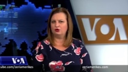 Çepani: Do të ishte anti-kushtetuese nëse parlamenti nuk miraton votën e diasporës