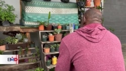 Aumenta el número de solicitudes de refugio en Guatemala