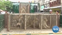 ဒီတပတ် အာရှစီးပွားရေး
