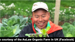 农夫黄如荣展示手中的小菜苗 (图片来源：欧罗有机农场英国分部脸书网站)