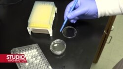 Naučnici razvijaju uređaj za stimulaciju imunološkog odgovora u borbi protiv raka