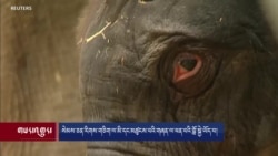 སེམས་ཅན་རིགས་གཅིག་ལ་མི་དང་མཚུངས་པའི་གཞན་ལ་ཕན་པའི་བློ་སྐྱེ་ཡོད་པ།