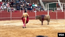 Un torero en la Plaza de Toros de la Santamaría de Bogotá.