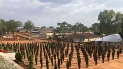 ထိုင်းနိုင်ငံက ပြန်ပို့ခံရသူ မြန်မာတွေ စစ်မှုထမ်းဥပဒေနဲ့ကြုံ 