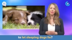 English in a Minute: Let Sleeping Dogs Lie