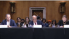 Expertos ante Comité de Exterioes del Senado de EEUU este miércoles para abordar las acciones represivas de gobiernos autoritarios extranjeros contra sus opositores. [Foto: Captura de pantalla transmisión web]