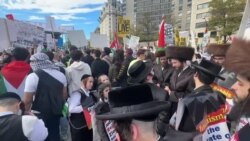 Isroildan norozi yahudiy amerikaliklar 