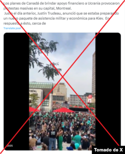 Captura de pantalla de X.