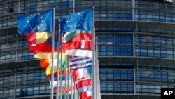 Ilustracija- Zastave Evropske unije i zemalja članica ispred zgrade Evropskog parlamenta (AP Photo/Jean-Francois Badias)