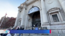 Nueva exposición en Nueva York revela al mundo secretos de los elefantes