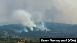 Граѓаните да не се организираат самоиницијативно за гаснење на пожарите низ шумите, апелираат од ЦУК