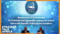 ተሰናባቹ የአውሮፓውያን 2024 ሲቃኝ 