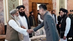 Xitoyning Afg'onistondagi yangi elchisi Jao Sheng Tolibon Bosh vaziri Muhammad Hasan Oxund va boshqa rasmiylar bilan ko'rishmoqda, Kobul, 13-sentabr, 2023 