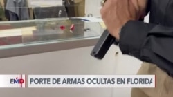 EEUU: Temor en Florida por libertad para portar armas de fuego ocultas y sin entrenamiento 