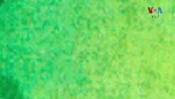 دنیا کے10 فیصد امیر افراد، 50 فیصد عالمی آلودگی کے ذمہ دار کیسے؟