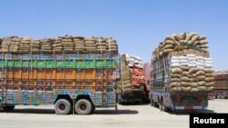 افغانستان سالانه تا حدود هفت میلیون متریک تن گندم نیاز دارد، اما بین ۶۰ تا ۷۰ درصد آن در داخل تولید می‌شود و متباقی آن را از سایر کشورها وارد می‌کند.