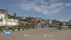 በኢትዮጵያ ነክ ዘገባዎች ስማቸውን የማይገልጹ መረጃ ሰጭዎች እየበዙ ስለመምጣታቸው ባለሞያዎች ይናገራሉ 