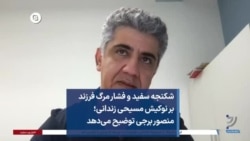 شکنجه سفید و فشار مرگ فرزند بر نوکیش مسیحی زندانی؛ منصور برجی توضیح می‌دهد